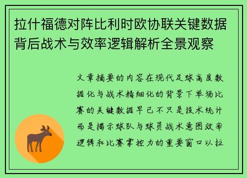 拉什福德对阵比利时欧协联关键数据背后战术与效率逻辑解析全景观察